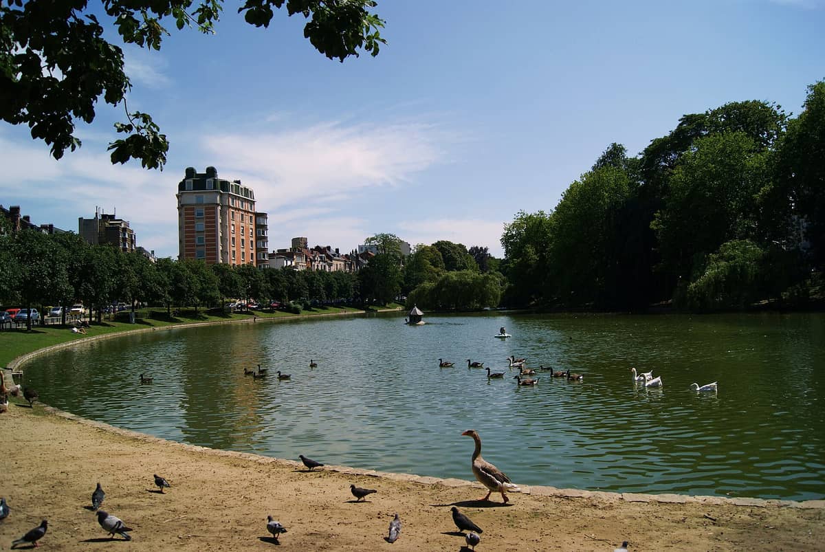 Grande lago dos Étangs d'Ixelles com patos e gansos, rodeado por vegetação e prédios residenciais típicos de Bruxelas sob um céu azul.