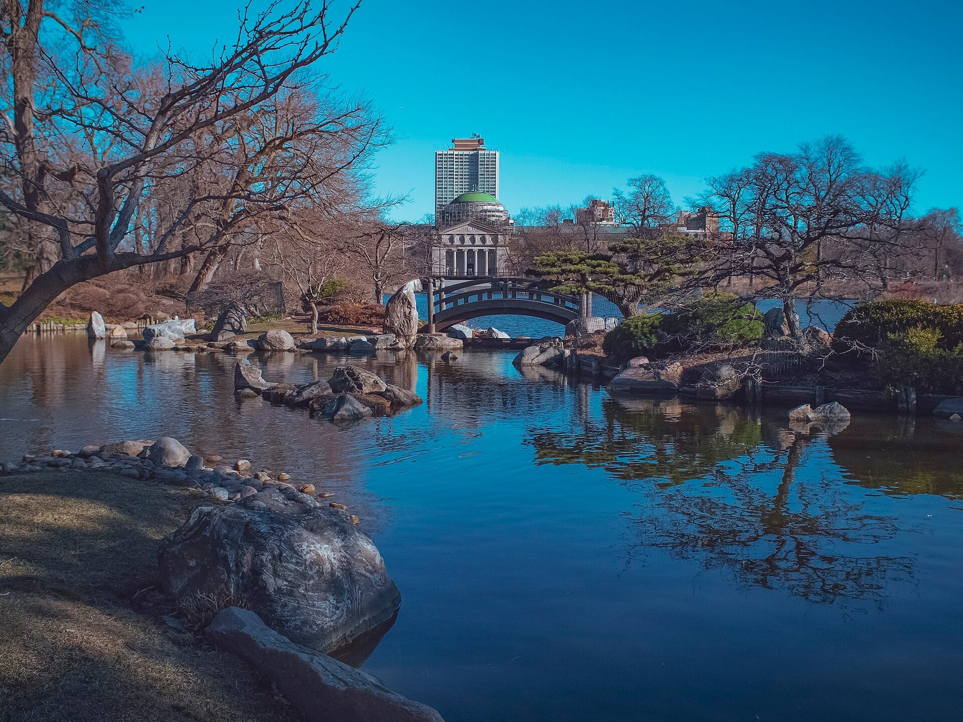 Vista dell'Osaka Garden sulla Wooded Island nel Jackson Park, con un ponte curvo, uno stagno tranquillo, rocce ed edifici della città sullo sfondo.