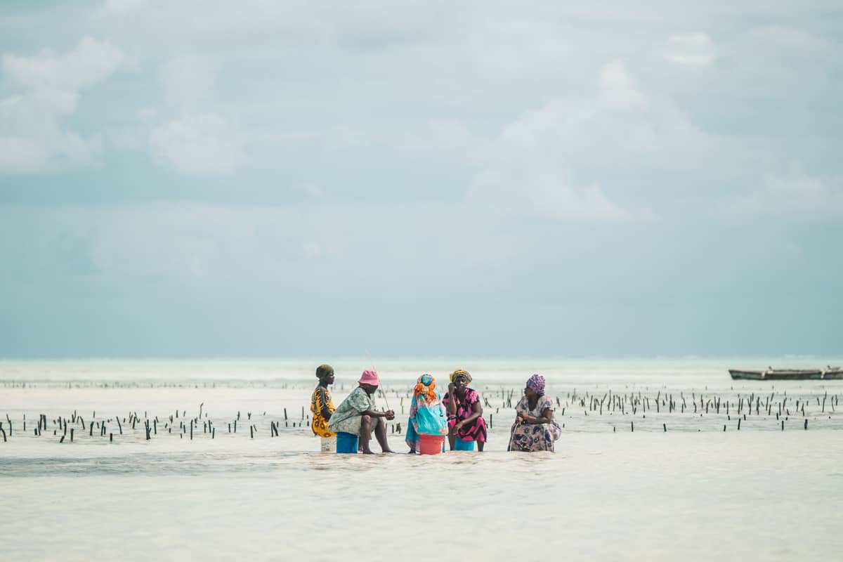 ผู้หญิงดูแลแปลงสาหร่ายริมชายหาดจัมเบียนีช่วงน้ำลง สะท้อนวิถีชีวิตประจำวันและภูมิทัศน์ลากูนหาดกว้าง