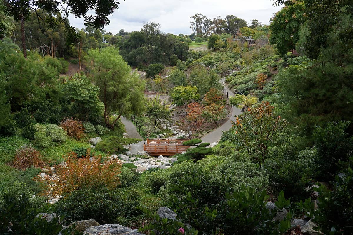 Weitläufige Ansicht des Japanischen Freundschaftsgartens im Balboa Park, San Diego, mit üppigem Grün, einem Wanderweg und einer Holzbrücke inmitten gepflegter Gartenanlagen.