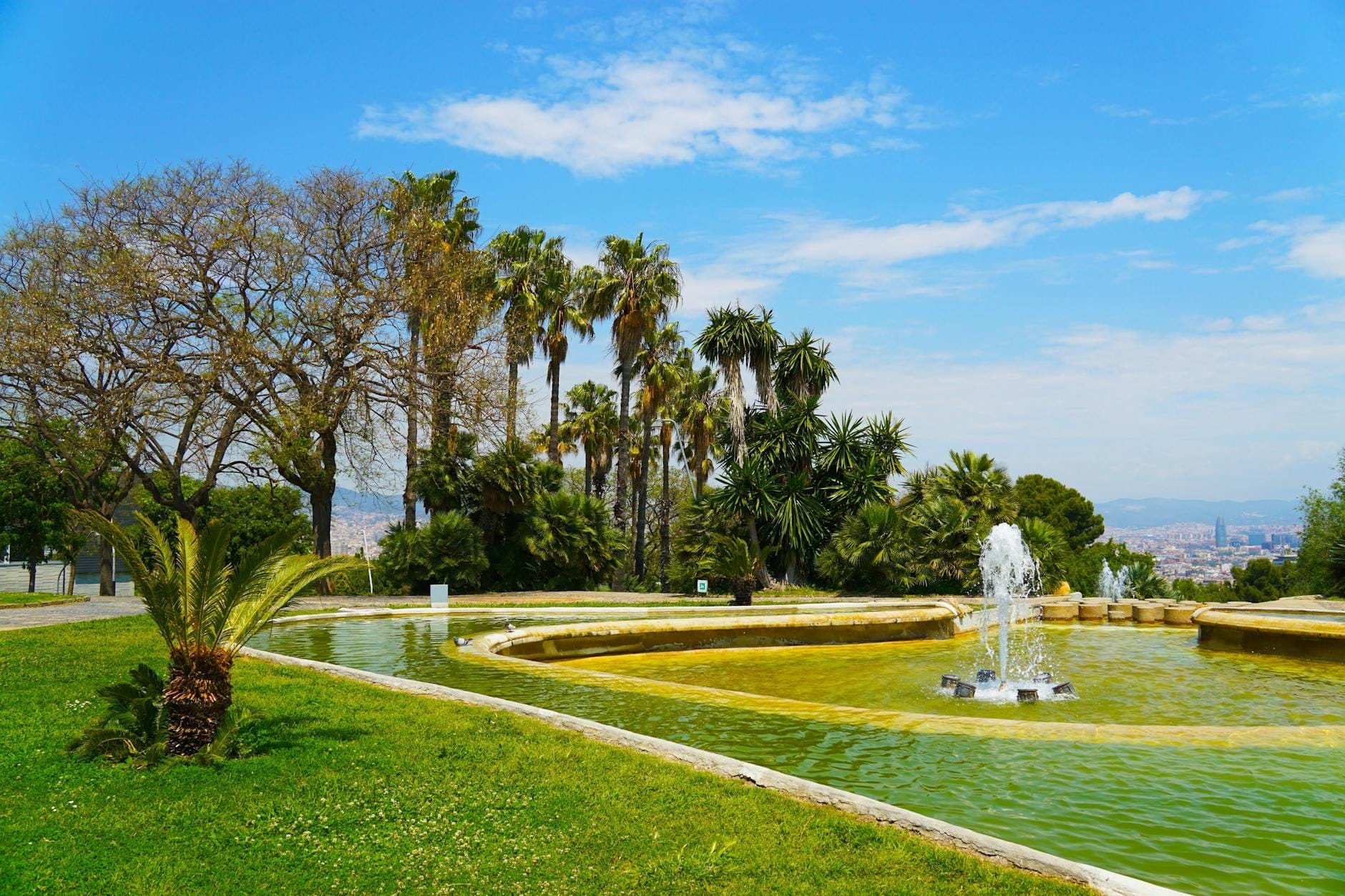 Sunny view of a tranquil garden with palm trees, fountain and pond, overlooking distant cityscape under a bright blue sky in Barcelona.