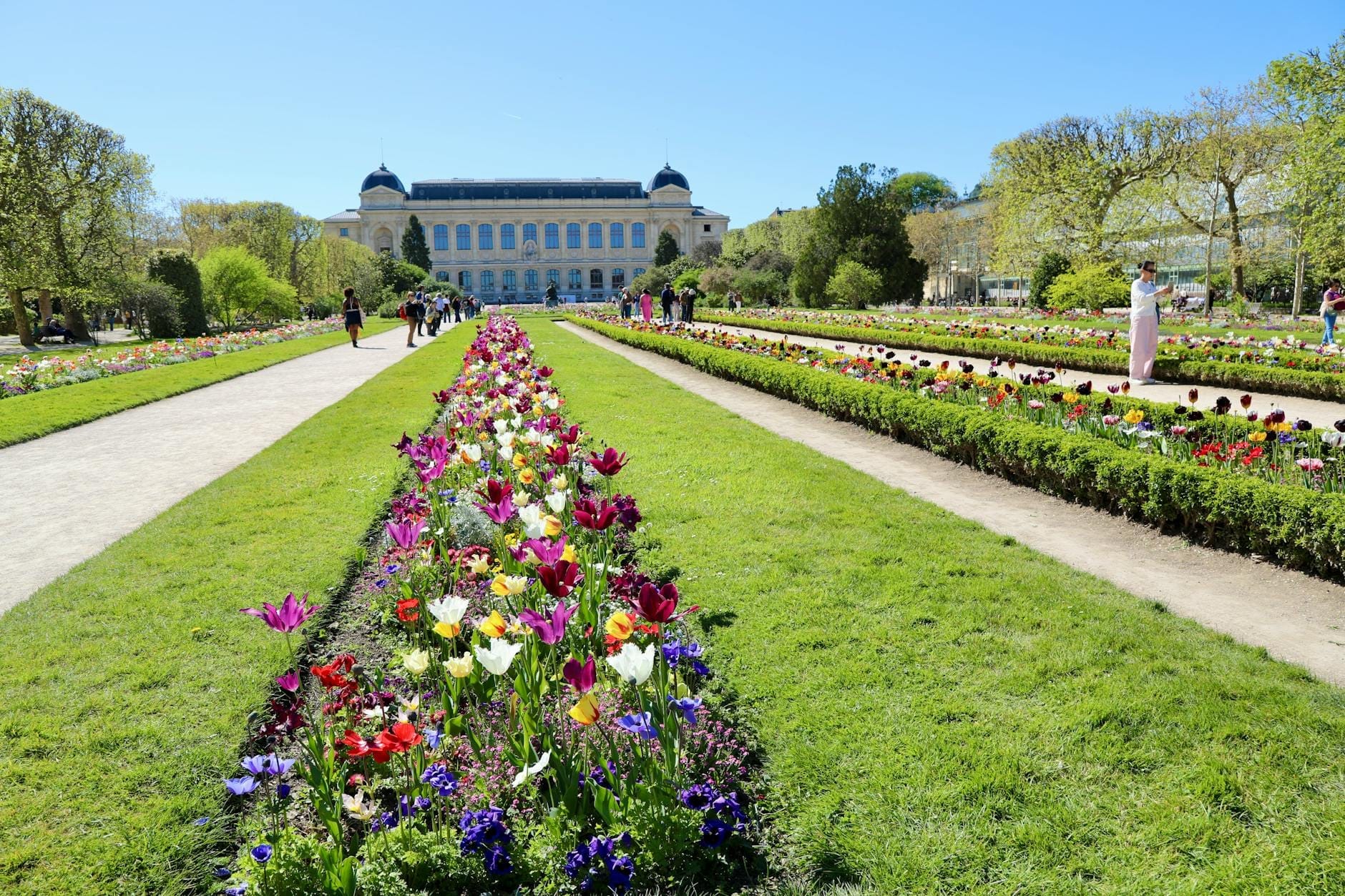 Vista panoramica del Jardin des Plantes con aiuole colorate, prati verdi e il grande edificio del Museo di Storia Naturale sotto un cielo azzurro brillante a Parigi.