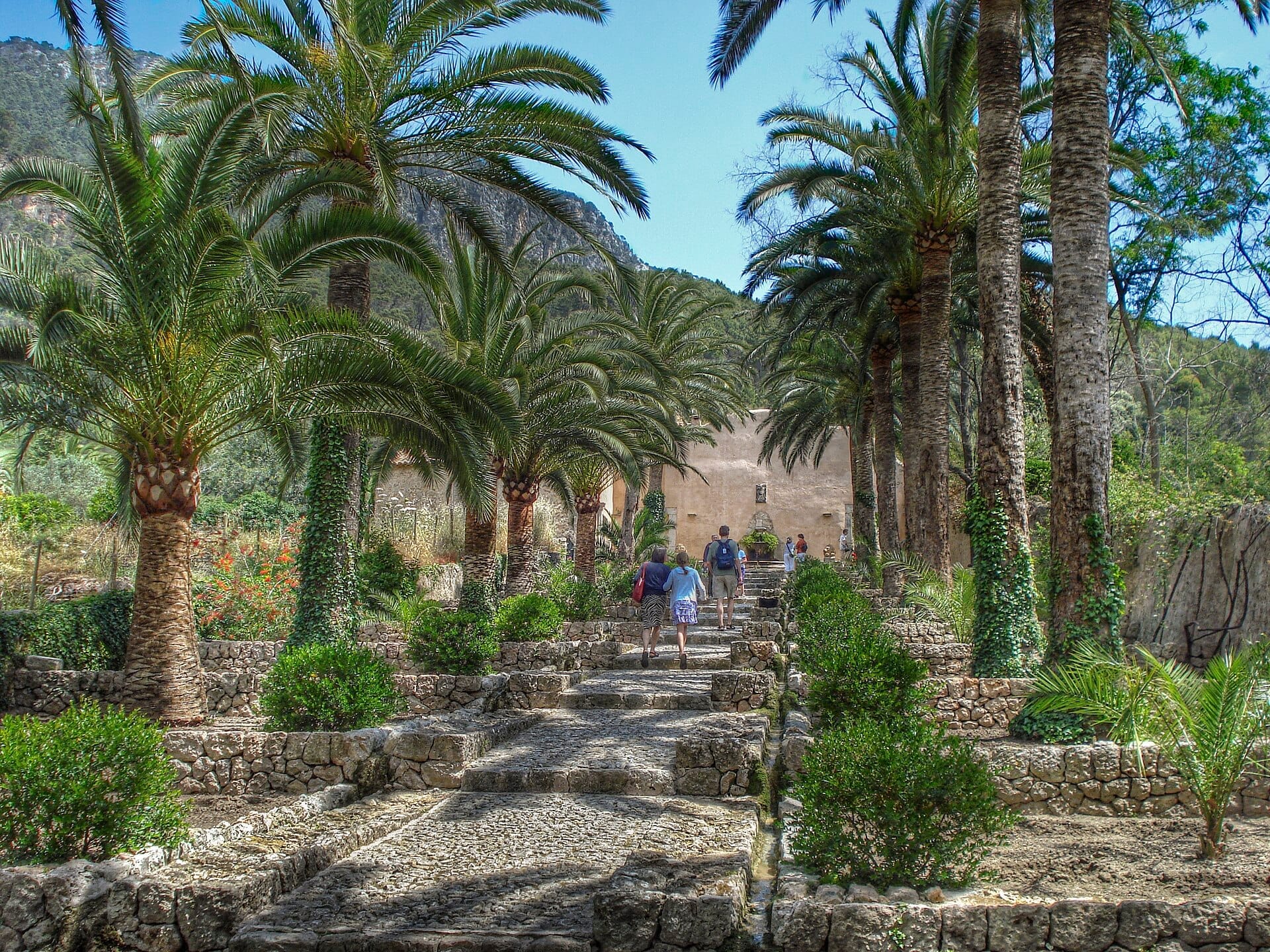 I viaggiatori camminano lungo un sentiero di pietra fiancheggiato da palme negli storici Jardines de Alfabia, Mallorca, sotto il luminoso sole mediterraneo.