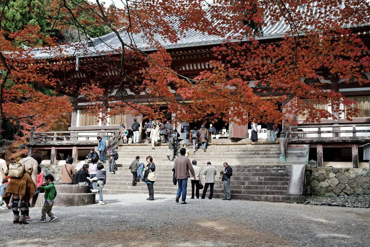 Visitors gather in front of the main hall of Jingo-ji Temple in autumn, with vibrant red maple leaves overhead.