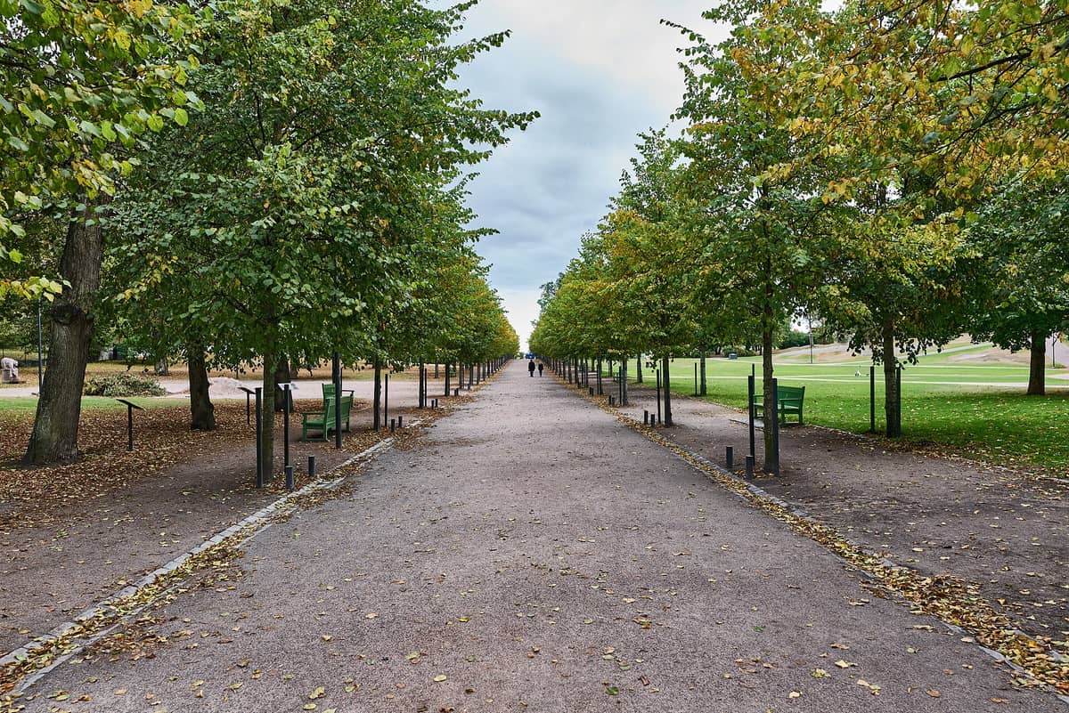 Caminho reto e amplo ladeado por árvores verdes e bancos no Parque Kaivopuisto, em Helsinque, com gramados visíveis nos dois lados.