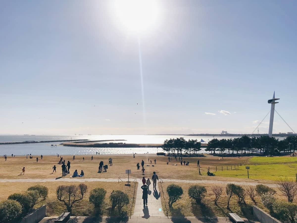 Wide view of Kasai Rinkai Park showing open grassy fields, distant trees, people walking, and the Tokyo Bay shoreline under bright sunlight.