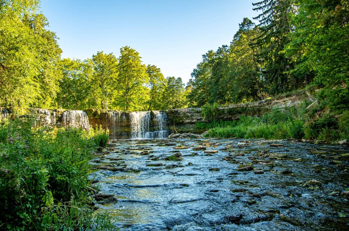 Weitblick auf den Wasserfall Keila-Joa in voller Strömung, umgeben von sattem grünem Wald und klarem blauen Himmel – die malerische Flusspark-Kulisse in ganzer Pracht.