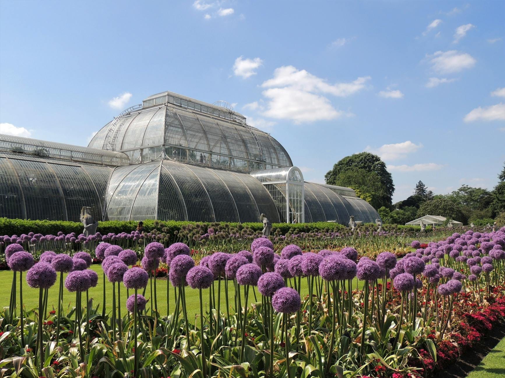 La grande serra vittoriana di Kew Gardens con prati ben curati e fiori viola in fiore sotto un cielo azzurro e luminoso.