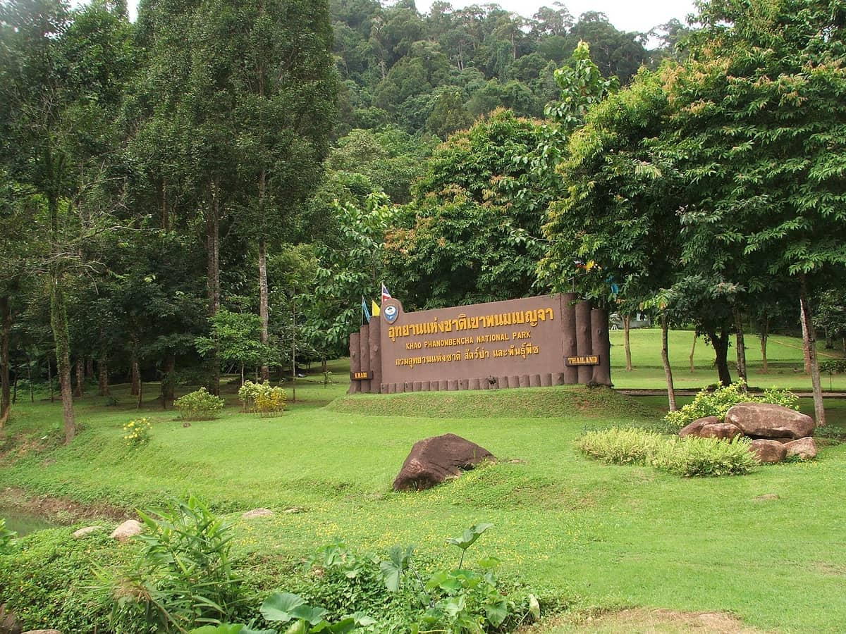 Eingangsschild des Khao Phanom Bencha Nationalparks, umgeben von üppigem grünem Gras, hohen Bäumen und dichtem Wald bei Tageslicht.