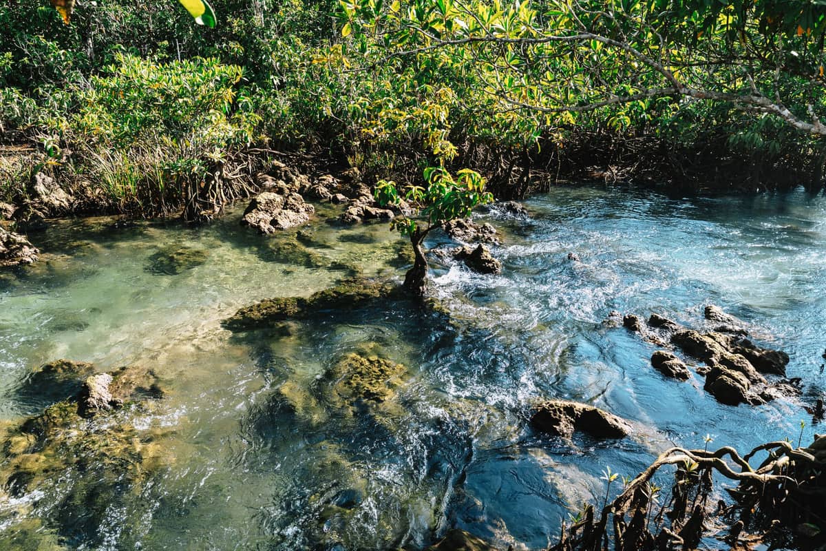 Un arroyo termal selvático con agua turquesa que fluye sobre pozas y rocas naturales de piedra, rodeado de exuberante vegetación en las Aguas Termales de Khlong Thom, Krabi.