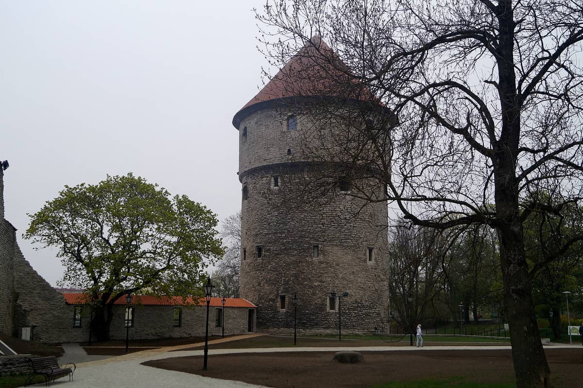 Außenansicht des Artilleriturms Kiek in de Kök in Tallinn – ein runder mittelalterlicher Steinturm mit rotem Ziegeldach, umgeben von Bäumen und historischen Stadtmauern.