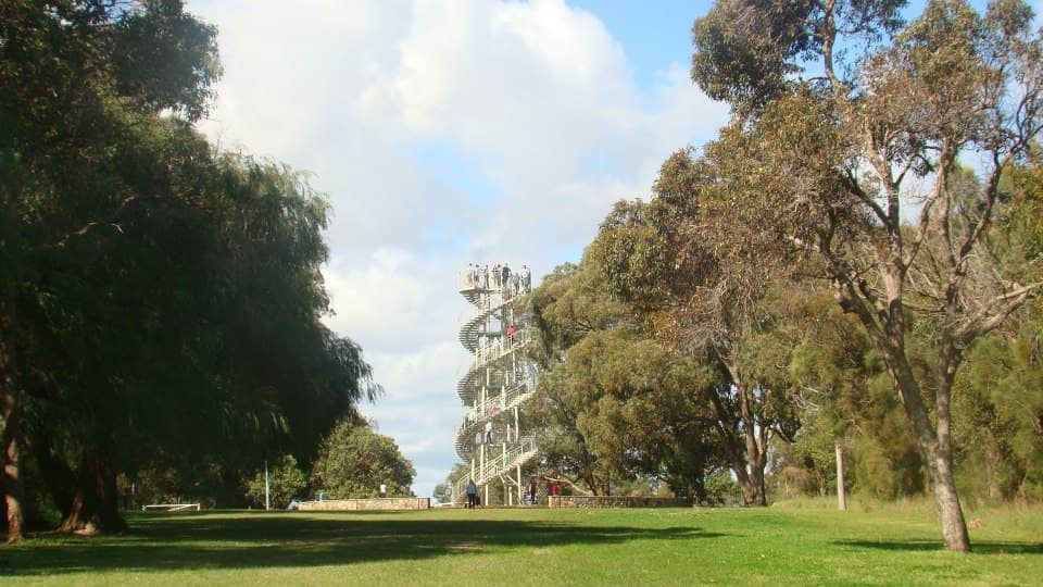 Der Kings Park DNA Tower erhebt sich zwischen grünen Bäumen unter einem strahlend blauen Himmel, mit Menschen, die oben und entlang der Wendeltreppe zu sehen sind.