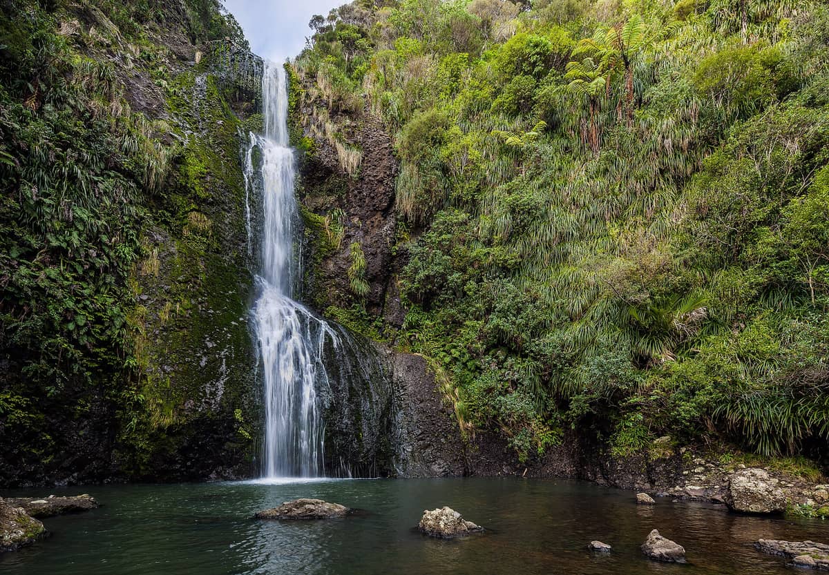 Weitwinkelperspektive auf die Kitekite Falls, die über üppig grüne Felswände in ein klares Felsbecken stürzen, umgeben vom dichten Regenwald Neuseelands.