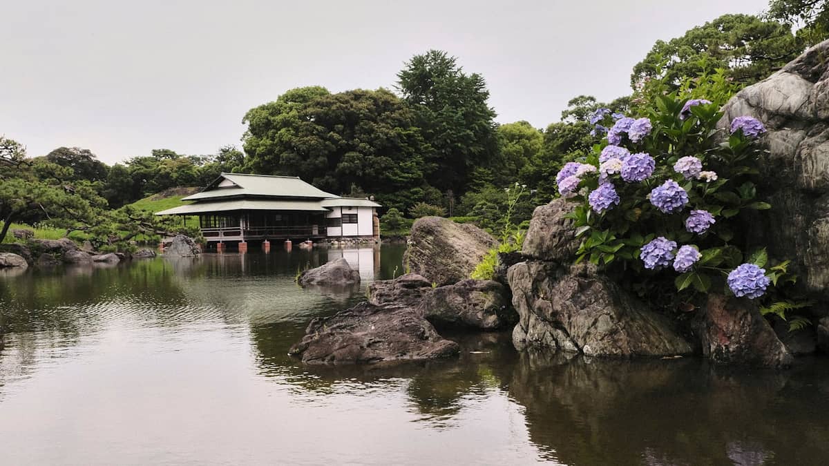 Landscape view of Kiyosumi Garden with a central pond, a traditional teahouse, rocky shoreline, and blooming hydrangeas beside calm water.