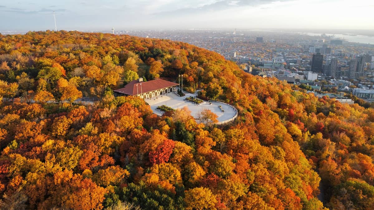 Luftaufnahme des Kondiaronk-Aussichtspunkts und des Mount-Royal-Chalets, umgeben von leuchtendem Herbstlaub, mit der Innenstadt Montreals in der Ferne.