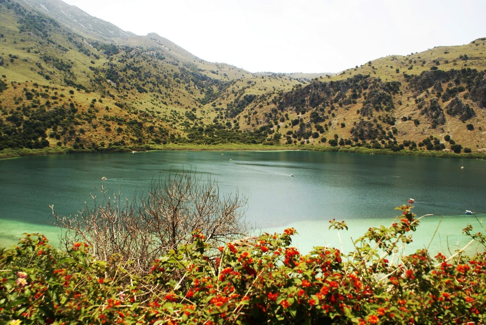 Lago d'acqua dolce sereno circondato da colline verdi, con acqua limpida e fiori rossi in primo piano sotto un cielo luminoso.