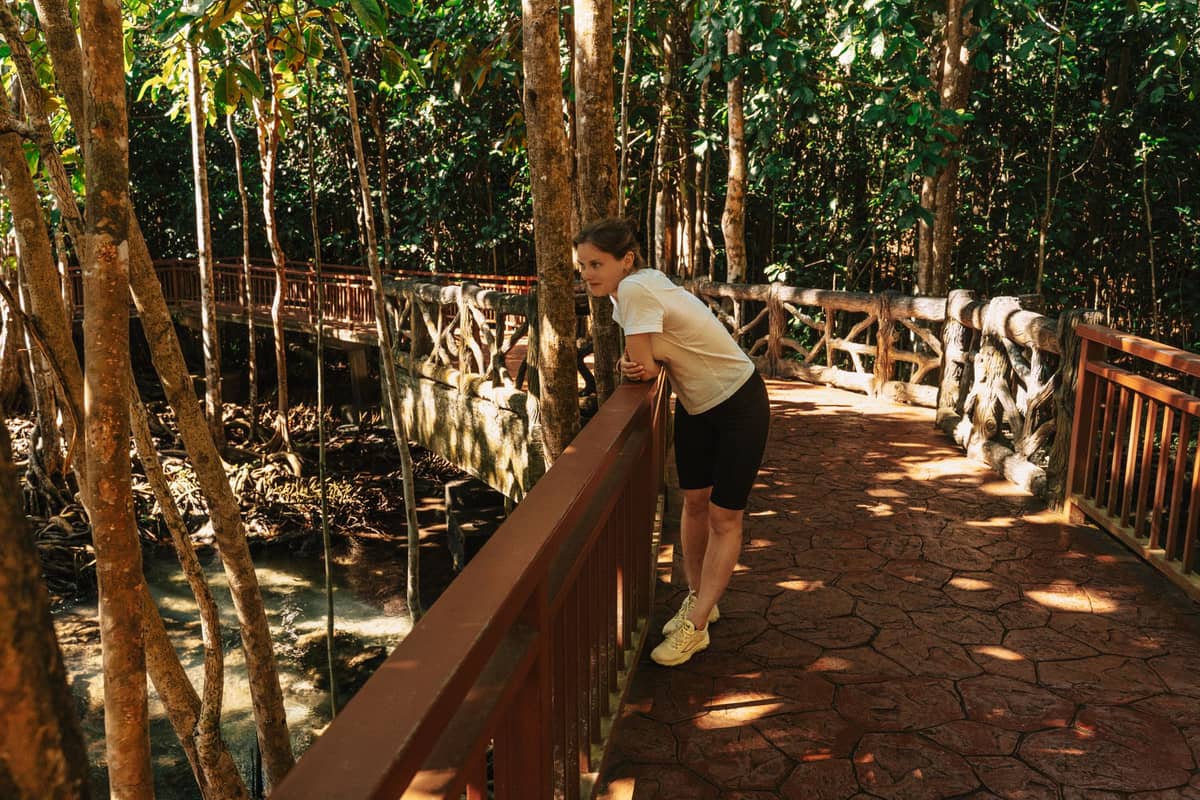 Person auf einem Holzsteg über einem klaren Bach und einem Mangrovenwald, umgeben von üppigen tropischen Bäumen in Krabi.