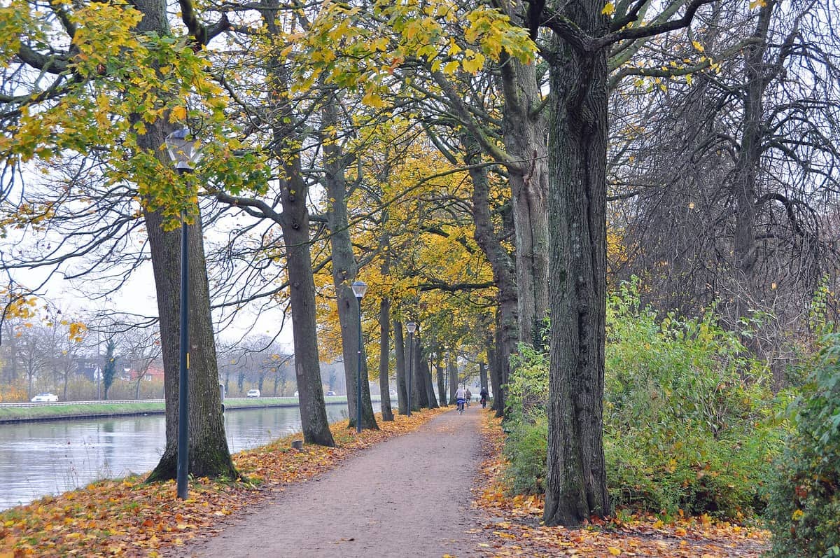 Tree-lined walking path along Kruisvest in Bruges with autumn leaves, canal on the left, and a couple of cyclists in the distance.