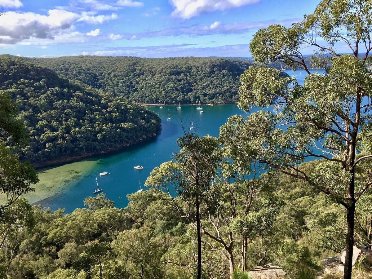 Vista aérea del Parque Nacional Ku-ring-gai Chase que muestra un denso bosque, entradas de agua azul y varios botes anclados en un día soleado.