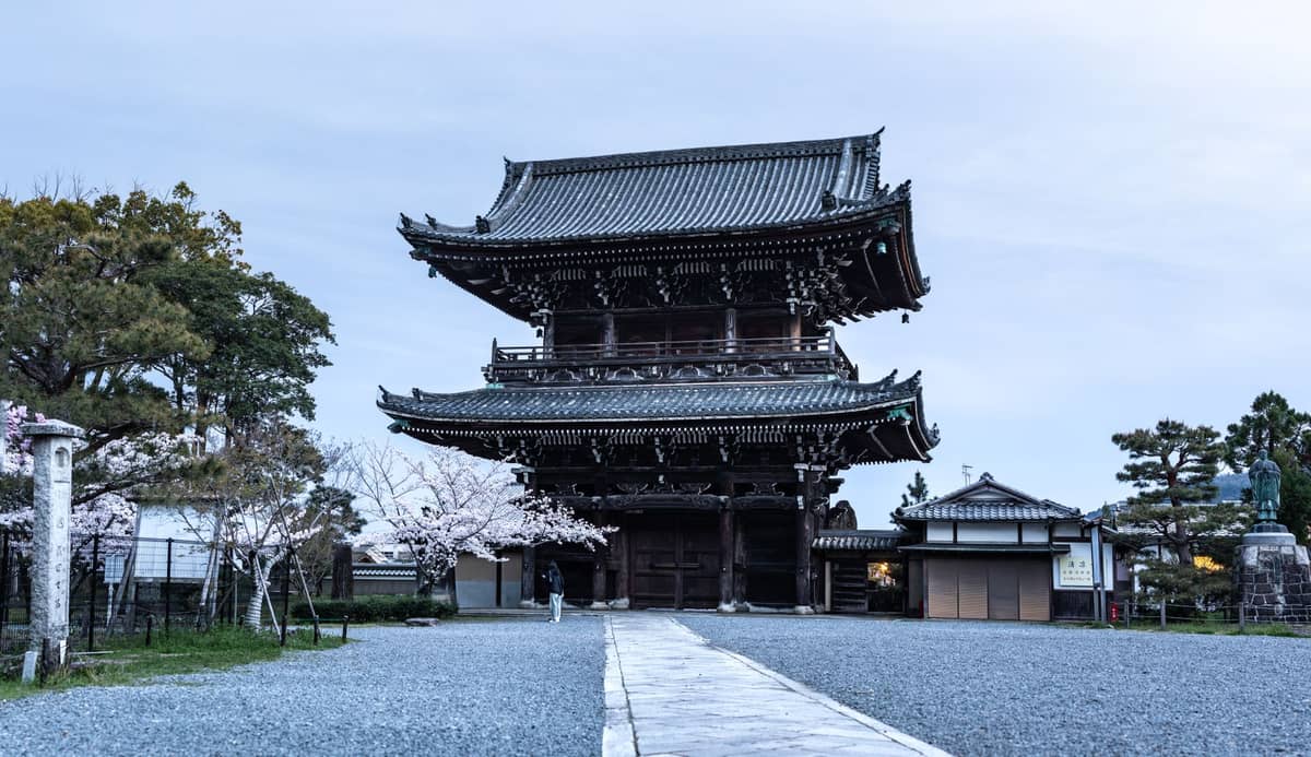 Wide view of Ninna-ji temple’s main gate with late-blooming cherry trees in front and a stone path leading to the entrance.