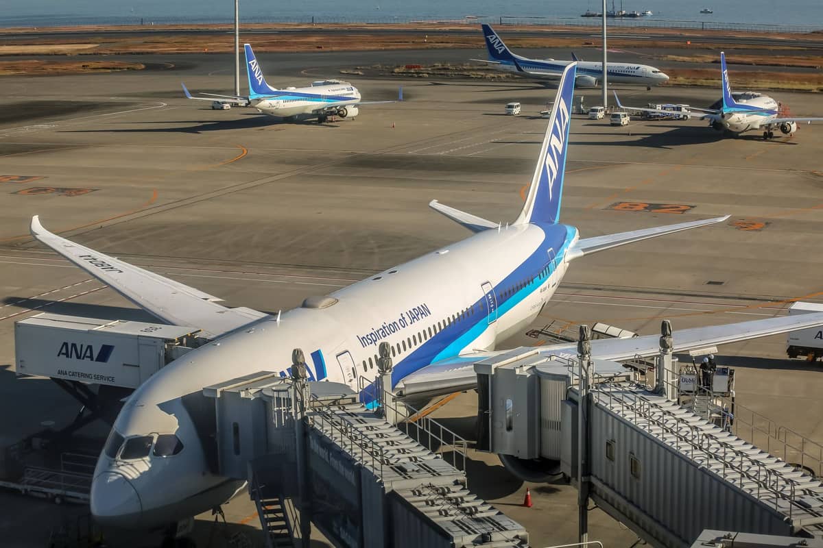 Several ANA airplanes at gates and taxiways at a Japanese airport under clear sky, with ocean visible in the background.