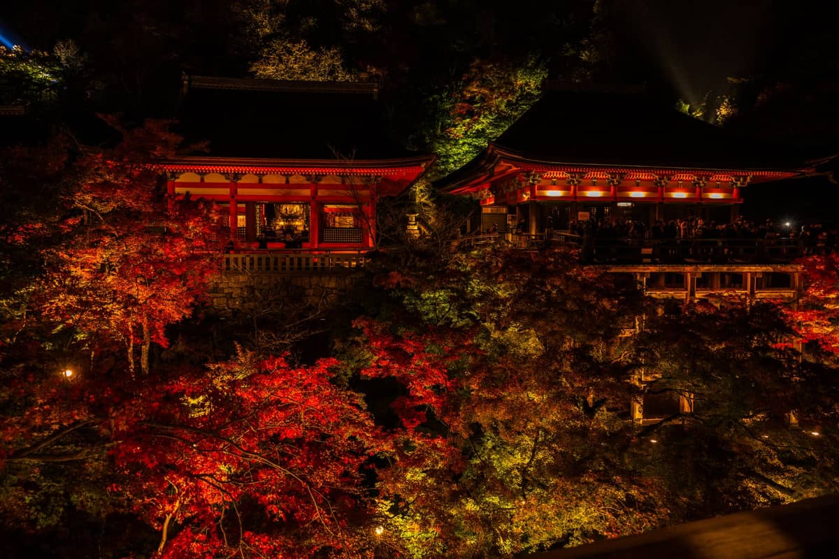 A Kyoto temple dramatically illuminated at night with vibrant colored lights highlighting autumn leaves and traditional wooden architecture.