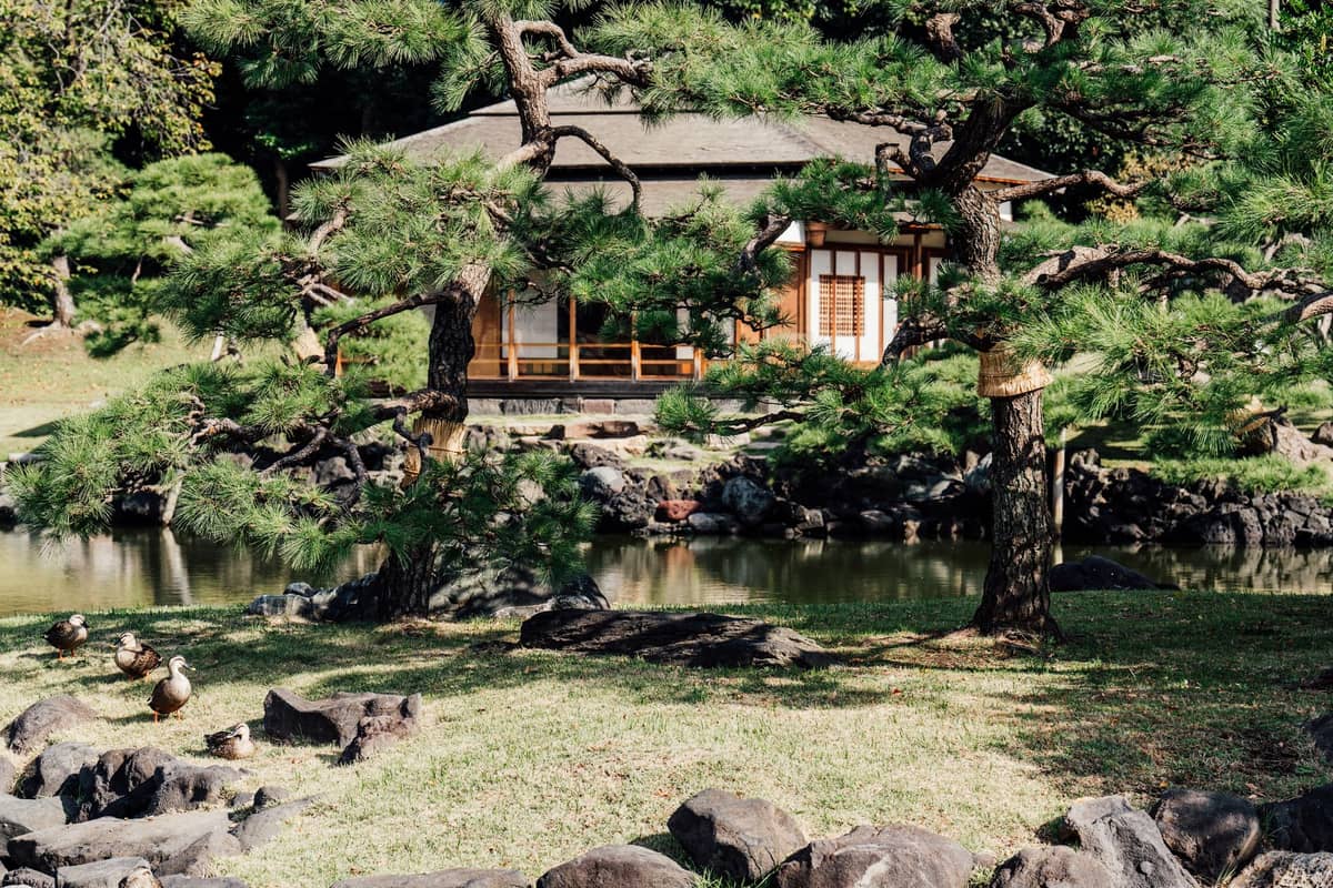 A traditional Japanese villa with sliding doors faces a serene pond, surrounded by manicured pines and rocks in a peaceful garden setting.