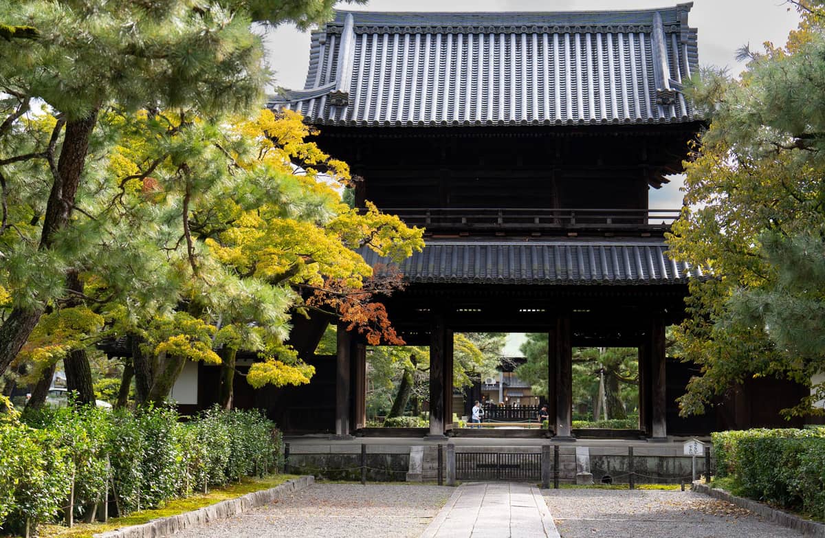 Traditional temple gate in Kyoto framed by green and yellow autumn trees, with a quiet path leading toward the temple entrance.