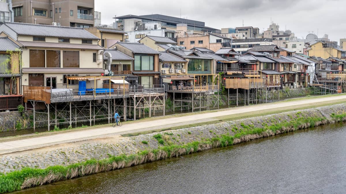 Traditional wooden buildings with balconies line the Kamo River in Kyoto, with a cyclist and pedestrian on the riverside path.