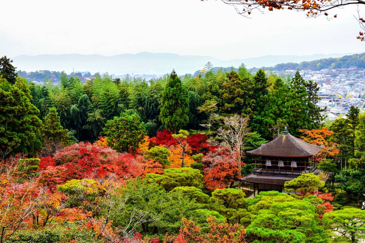 View of Ginkaku-ji temple surrounded by vibrant autumn foliage and trees, with cityscape and hills in the background in Kyoto.