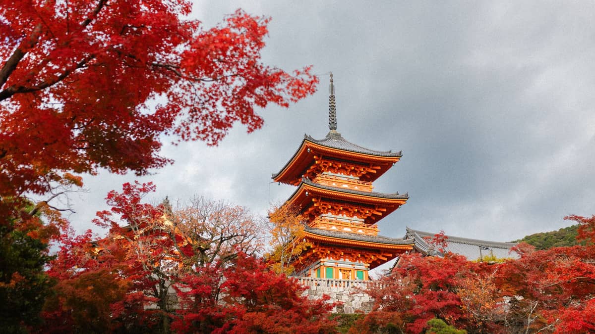 The iconic pagoda of Kiyomizu-dera temple in Kyoto rises among vibrant red autumn maple trees under a dramatic, cloudy sky.