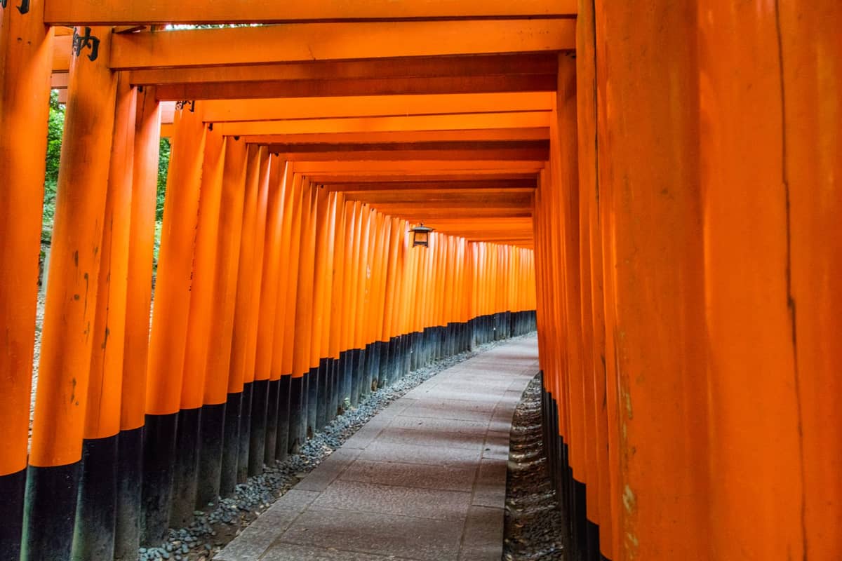 A winding path passing through a series of bright red torii gates at Fushimi Inari Shrine in Kyoto, Japan.