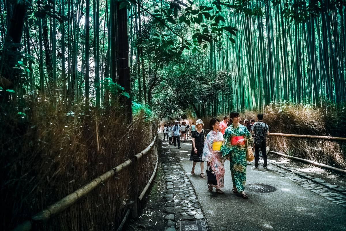 People walking through Kyoto’s bamboo grove, including women in colorful summer kimono, showing seasonal attire for visitors.