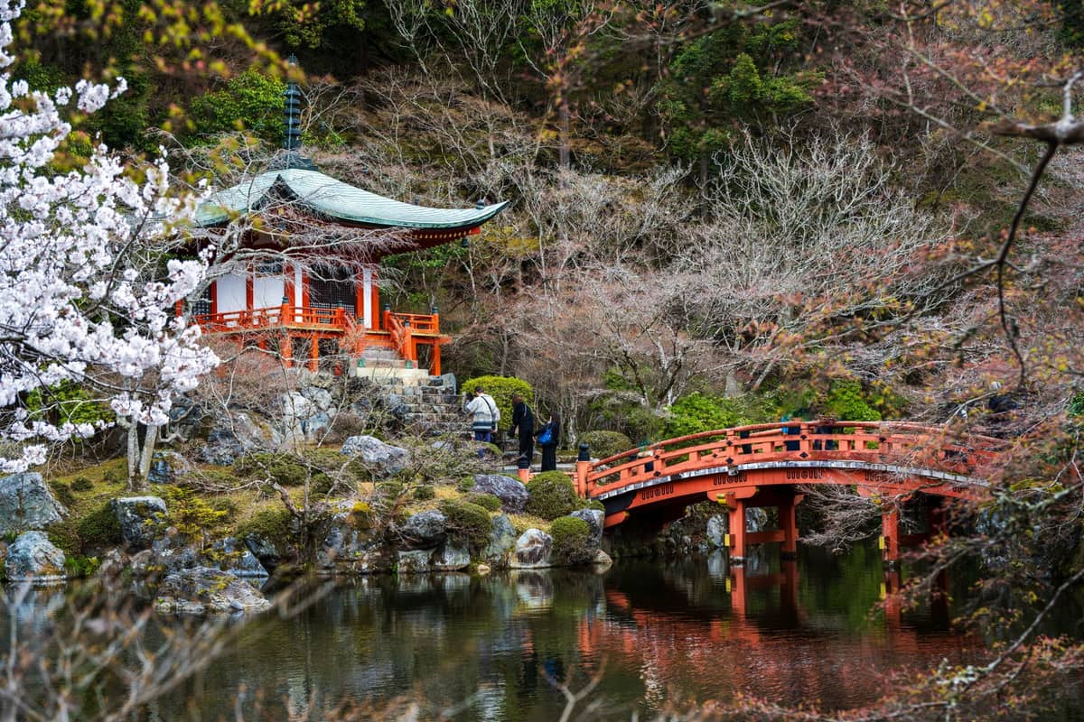 Kyoto temple garden with a red bridge, pond, and cherry blossoms, evoking seasonal beauty and traditional Japanese atmosphere.