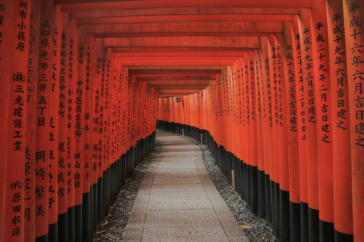 Long path covered by rows of bright red torii gates with black bases, curving gently, classic Fushimi Inari Shrine scene in Kyoto.
