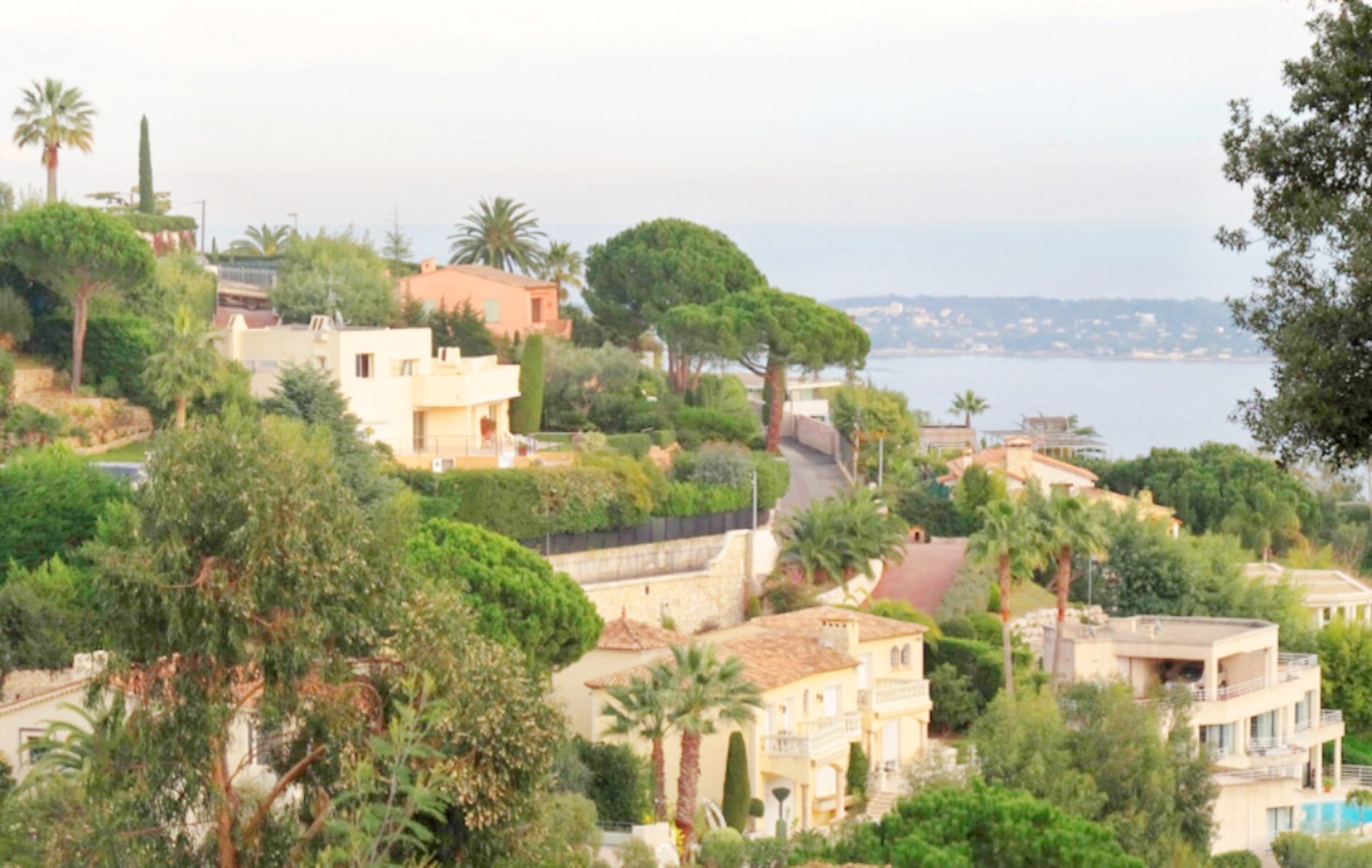 Ville lussuose circondate da rigogliosi giardini e pini mediterranei nel quartiere La Californie di Cannes, con vista sulla lontana baia di Cannes.