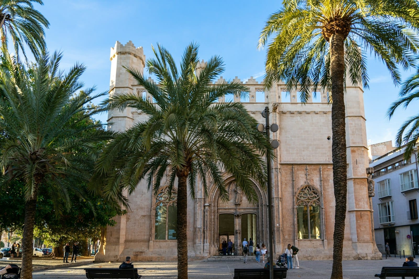 Sa Llotja a Palma de Mallorca, un grandioso edificio gotico con finestre ad arco e palme di fronte sotto un cielo azzurro brillante.