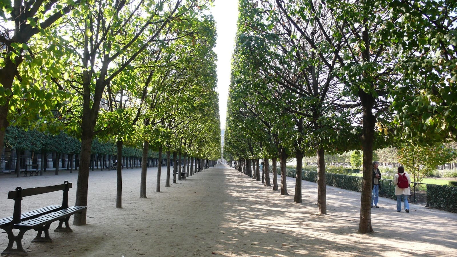Un vialetto alberato a Parigi con la luce del sole che filtra tra le foglie, panchine lungo i lati e una persona che passeggia sotto la volta verde.