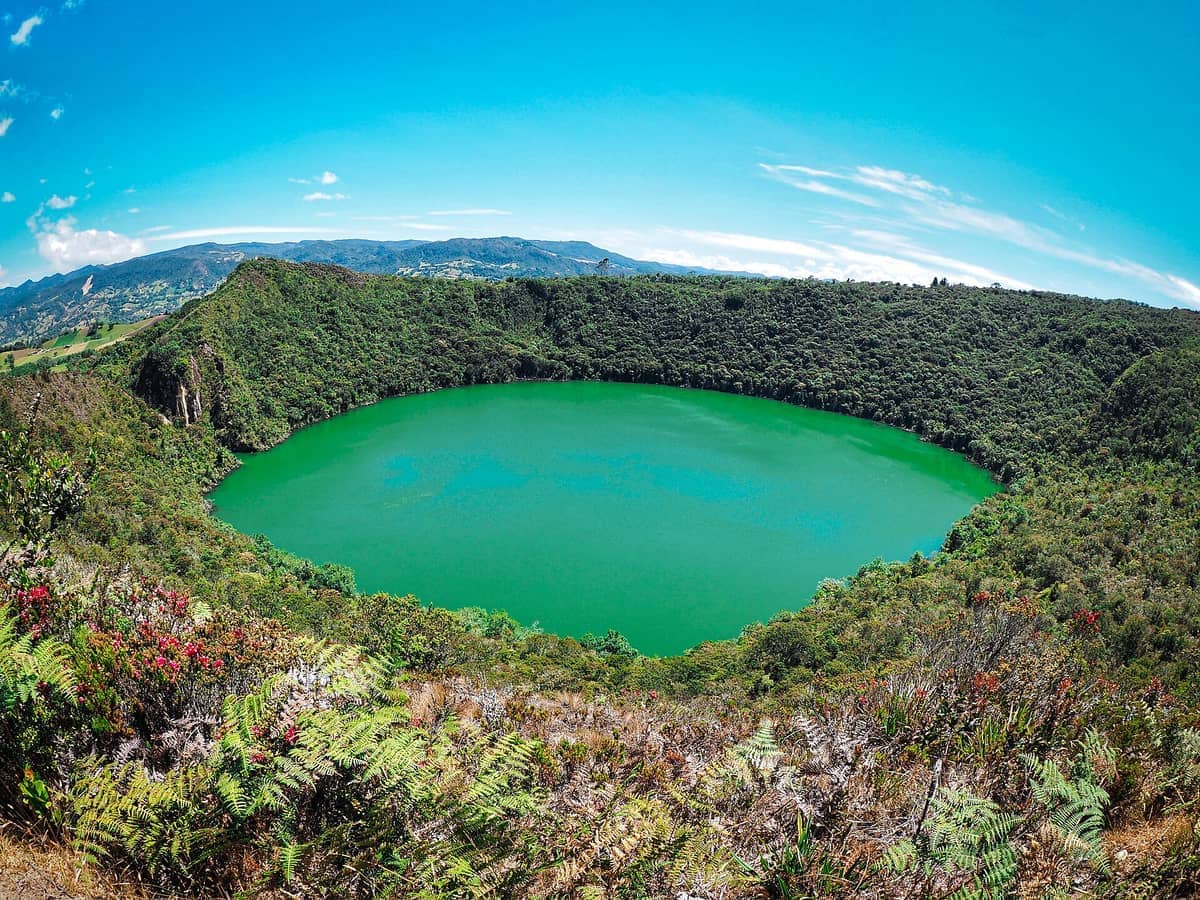 Laguna de Guatavita, a circular green lake surrounded by dense forest and mountains, viewed under a bright blue sky with lush plants in the foreground.