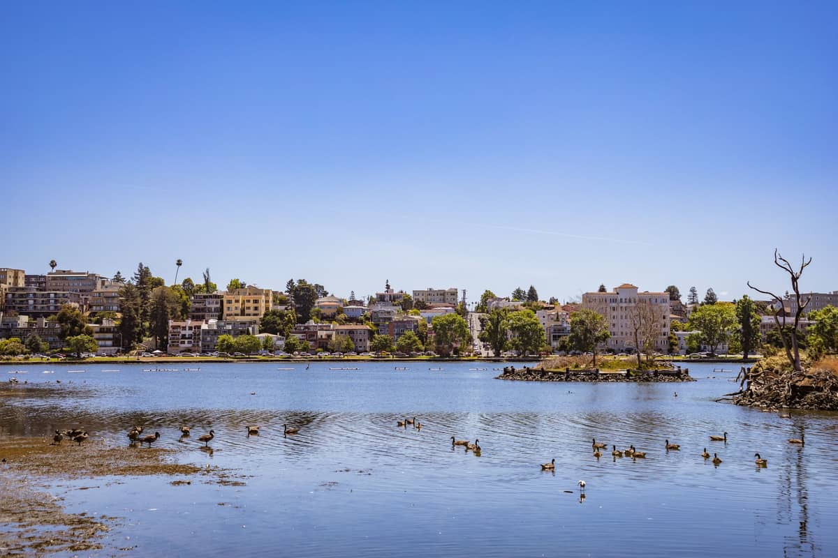 Vista panorámica de Lake Merritt en Oakland con patos nadando y edificios de la ciudad al fondo bajo un cielo azul despejado.