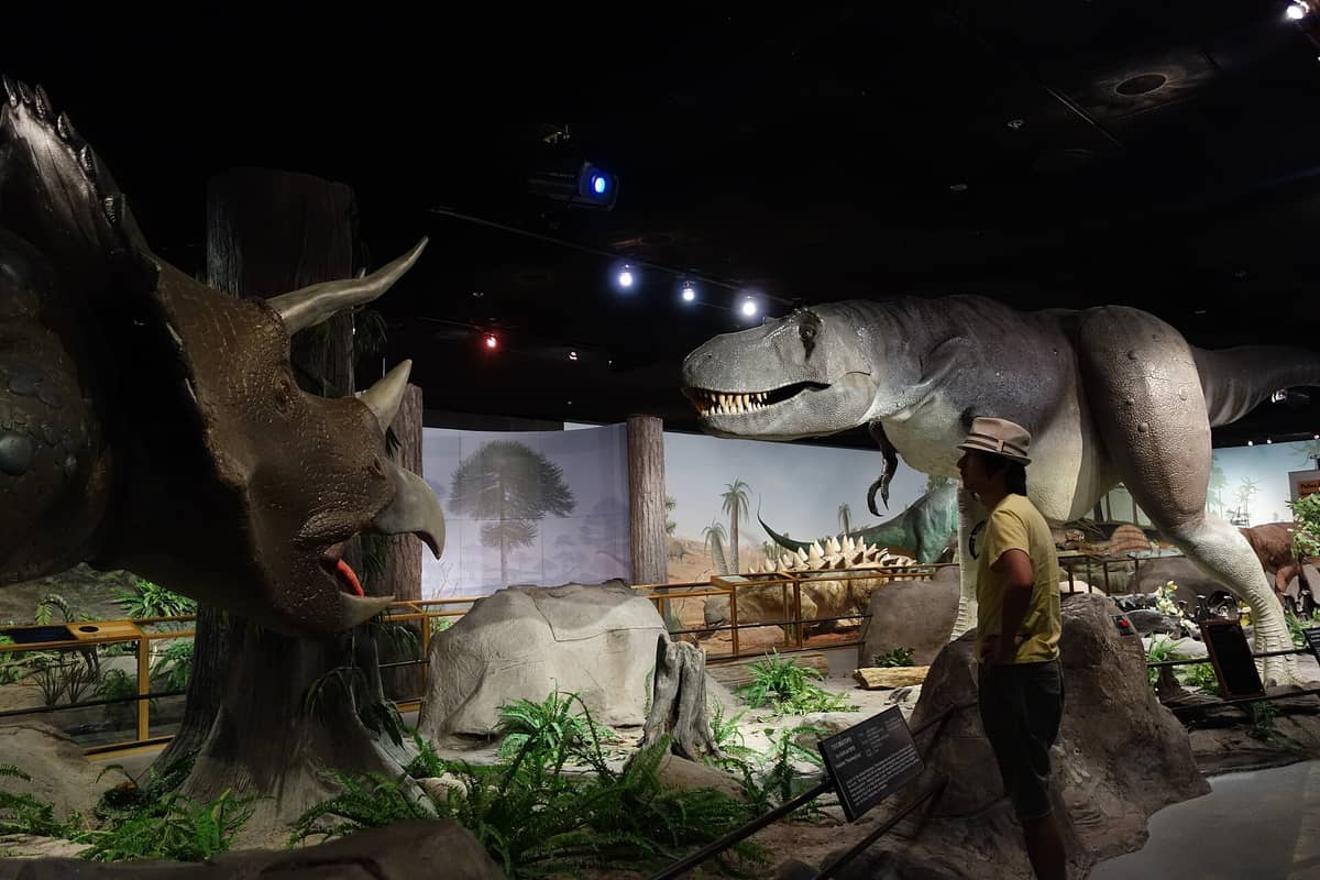 Las Vegas Doğal Tarih Müzesi'ndeki animatronik dinozor sergisi: büyük bir T. rex ve triceratops'un önünde durarak ekranı inceleyen bir ziyaretçi.
