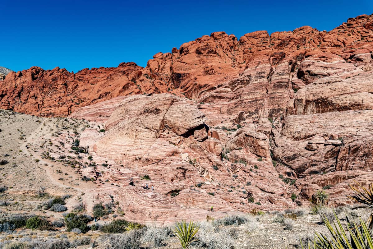 Bright red and tan sandstone formations at Red Rock Canyon under a clear blue sky, with desert plants in the foreground.