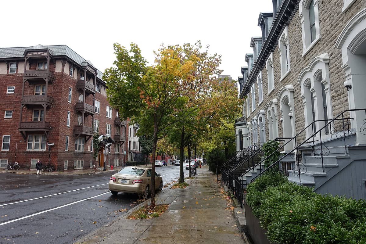Verregnete Wohnstraße im Plateau-Mont-Royal mit klassischen Reihenhäusern, Außentreppen, herbstlich gefärbten Bäumen und geparkten Autos.