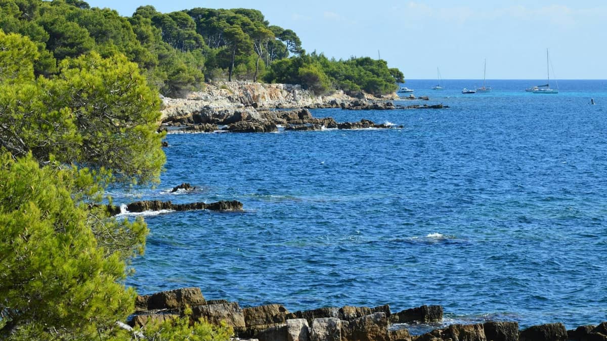 Küste der Inseln von Lérins mit Pinien, felsiger Küstenlinie, leuchtendem blauem Meer und einigen Segelbooten in der Ferne.