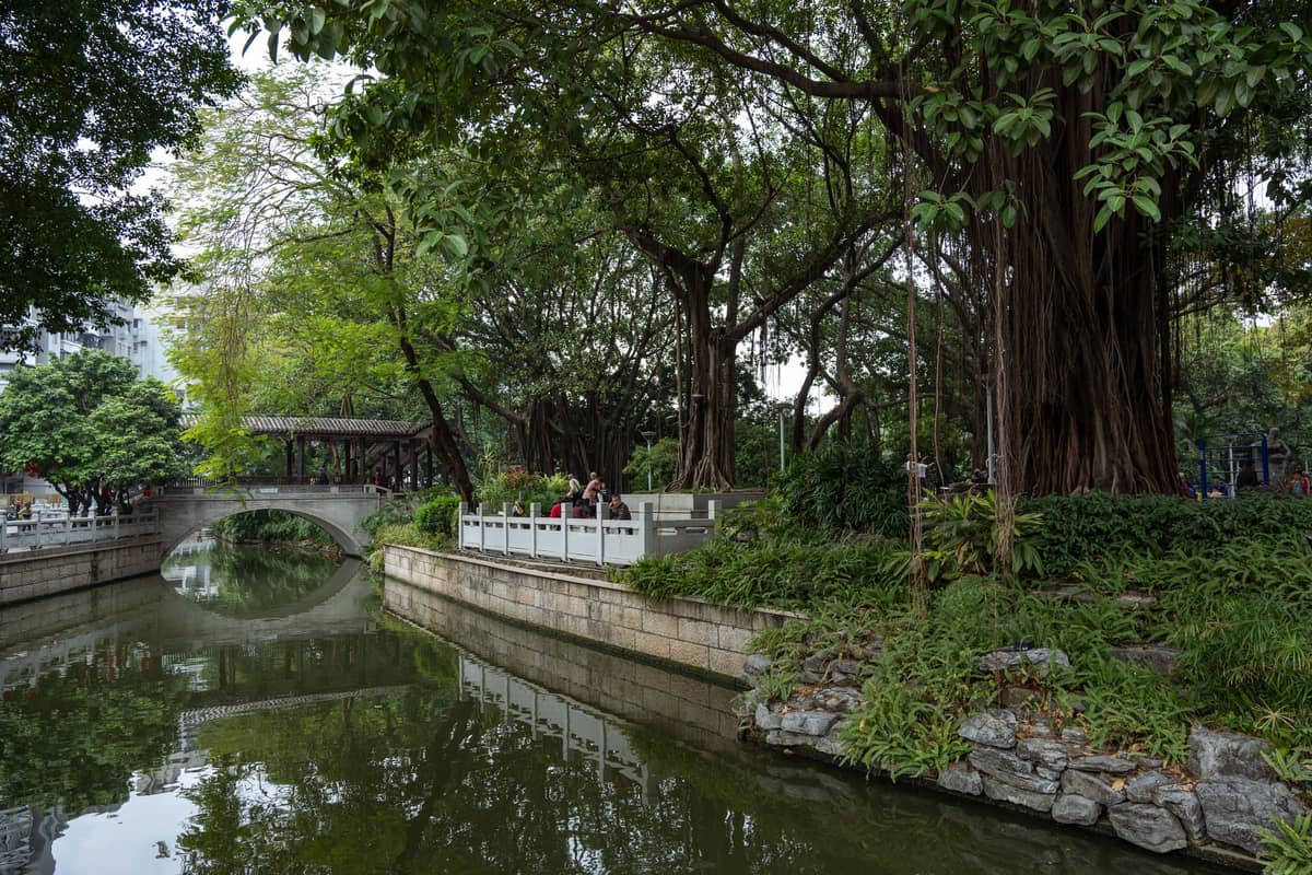 Shaded walkway alongside the lake at Liwan Lake Park, Guangzhou, with large trees, traditional stone bridge, and visitors relaxing near the water.