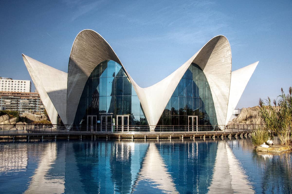 L'ingresso principale dell'Oceanogràfic di Valencia con il suo iconico tetto bianco a forma di conchiglia e la facciata in vetro, riflessi in un ampio specchio d'acqua circostante.