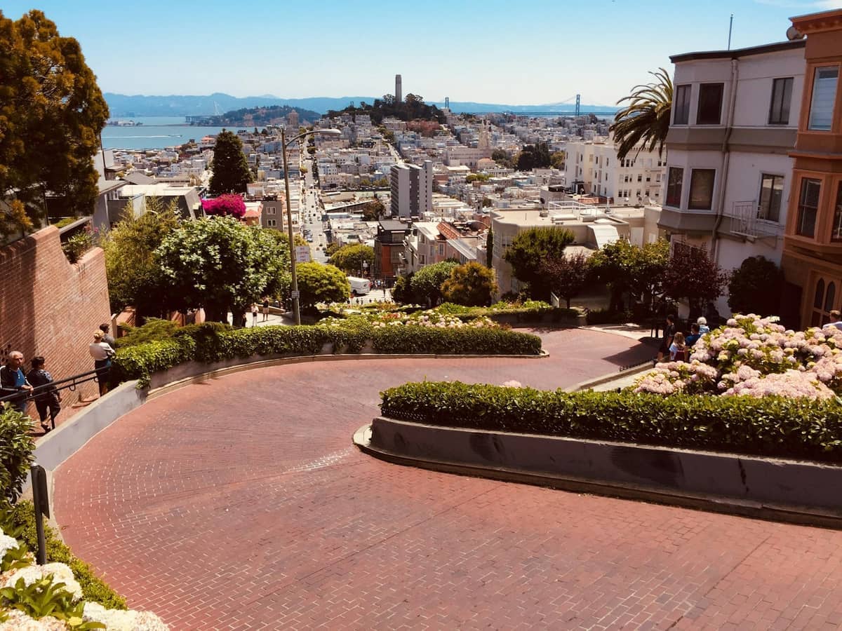 Sinuosa calzada de adoquines de Lombard Street con exuberantes hortensias, rodeada de edificios y vistas de la bahía de San Francisco bajo el sol.