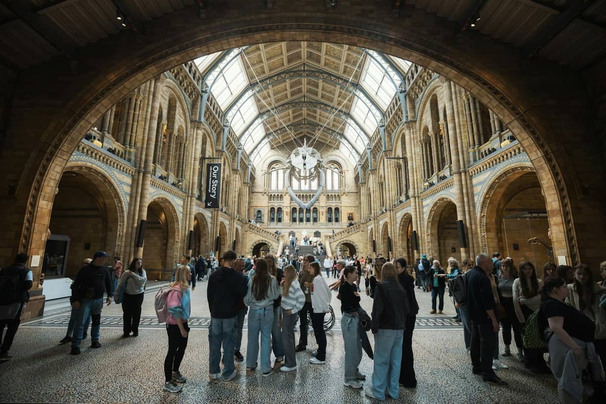 Grande multidão no interior do salão principal do Natural History Museum de Londres, com seu icônico teto arqueado e trabalhos em pedra.
