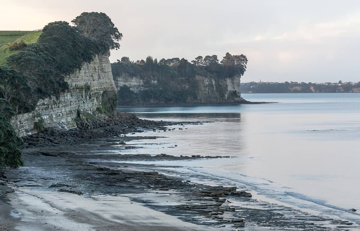Küstenklippen und ruhiges Gezeitenufer im Long Bay Regional Park mit geschichteten Felsformationen und stillem Wasser unter einem weichen Himmel.