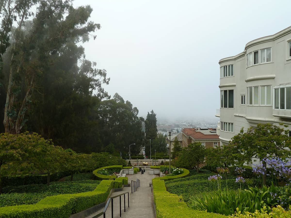Amplios escalones de piedra en los Lyon Street Steps de San Francisco, enmarcados por setos bien cuidados, jardines exuberantes y elegantes edificios blancos en un día neblinoso.